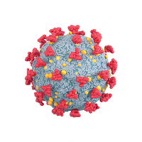 vax vax